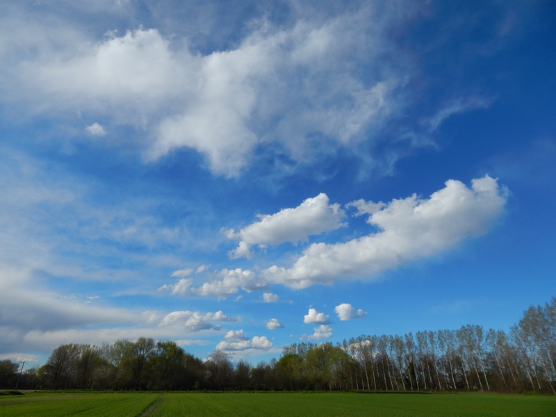 Il cielo di oggi...